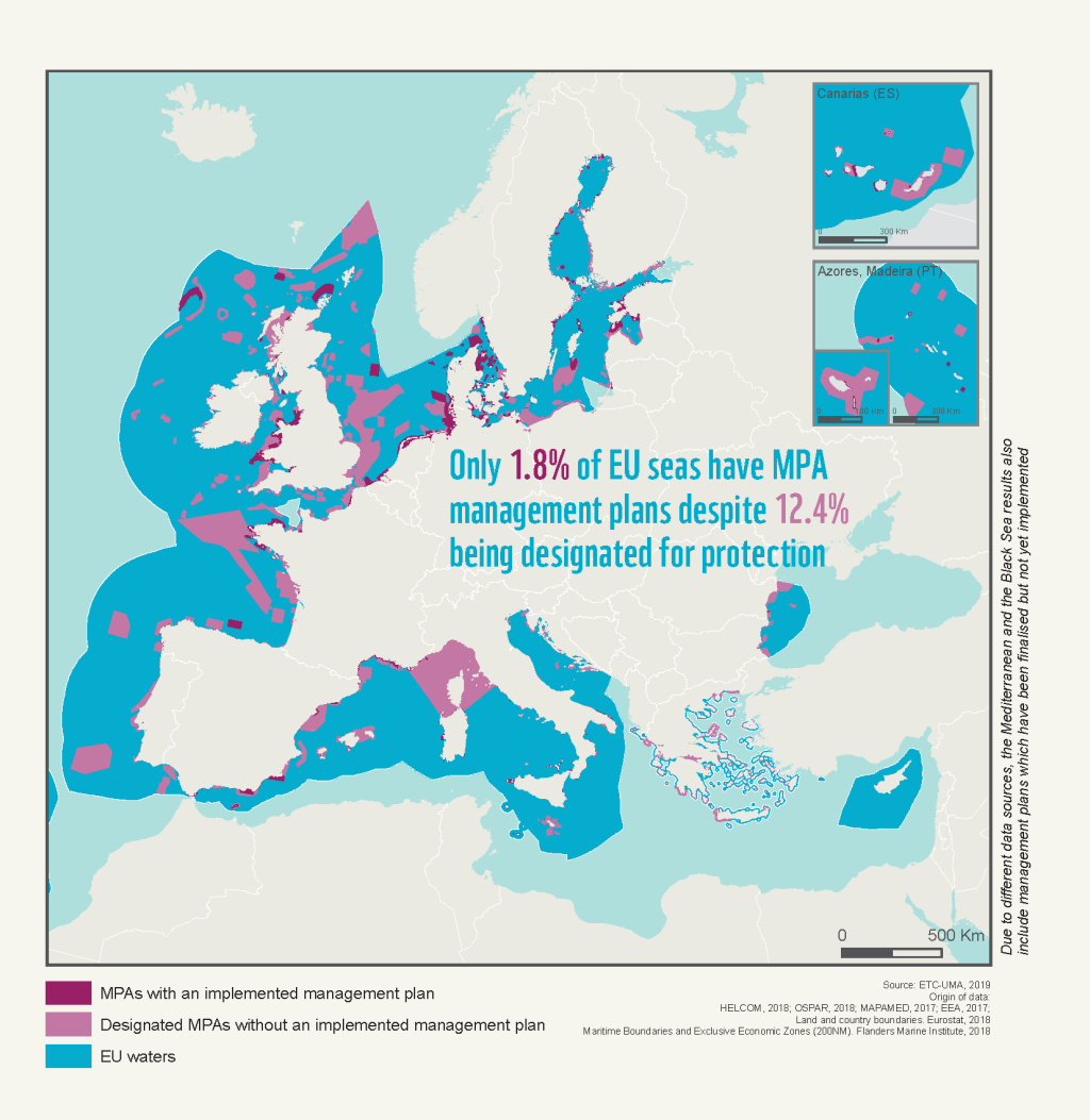 Picture of: EU failing  commitments for marine biodiversity protection  WWF