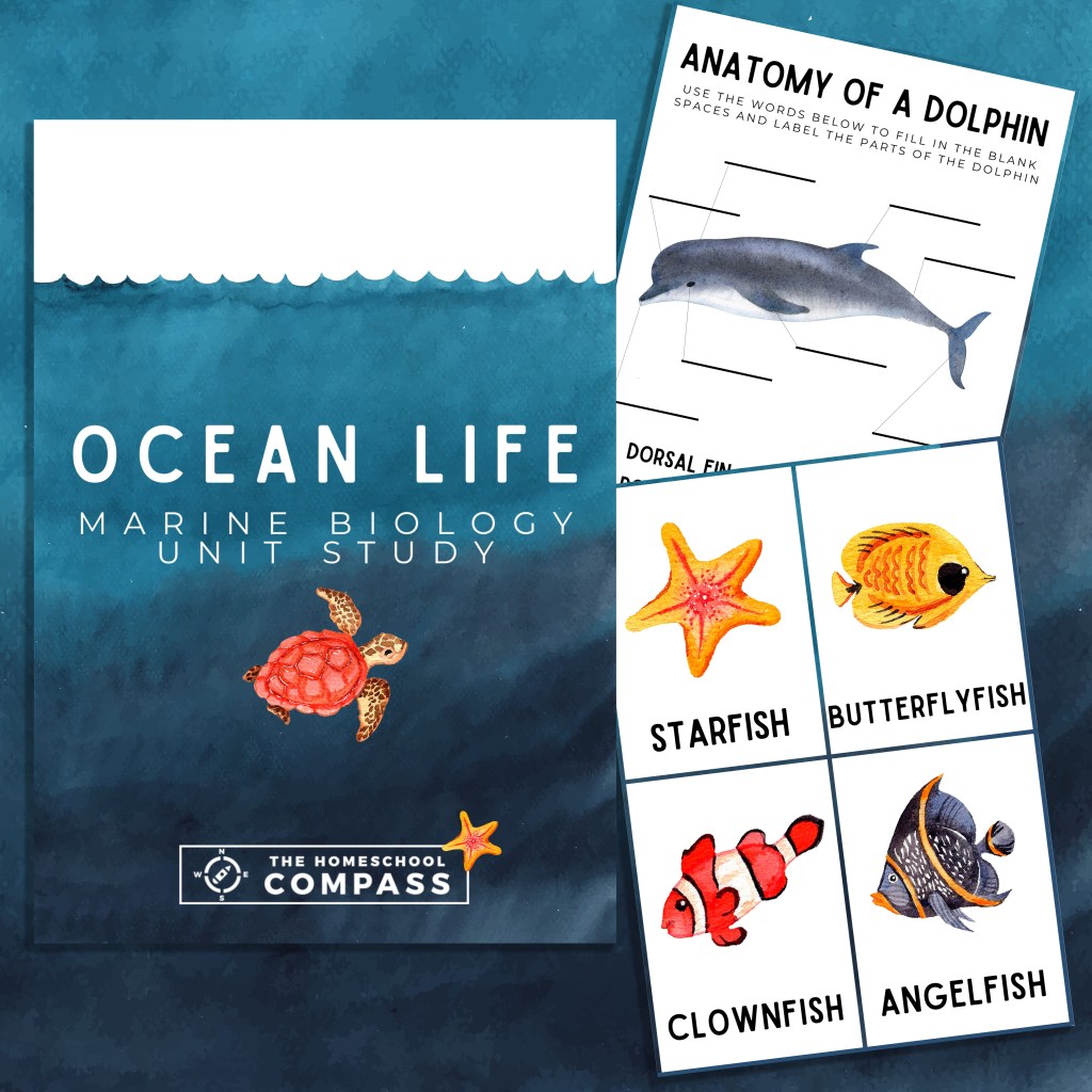 Picture of: Free Ocean Life Marine Biology Printable Pack – Homeschool Compass