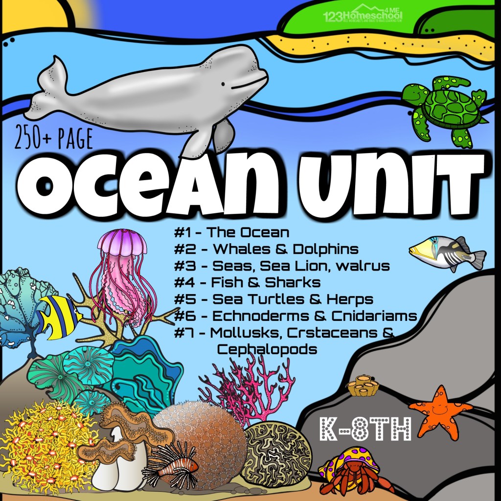 Picture of: HUGE Ocean Animals Lesson
