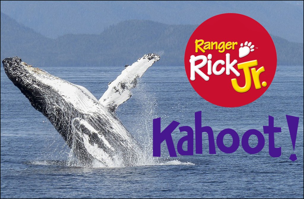 Picture of: Kahoot: Humpback Whales – NWF  Ranger Rick