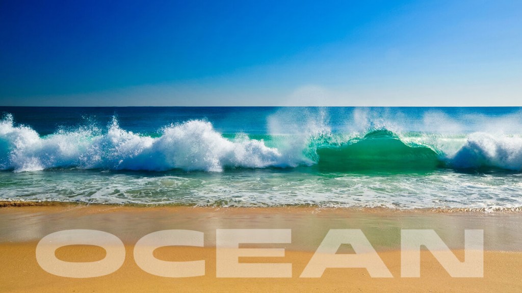 Picture of: List of Ocean & Sea-Related Words  YourDictionary