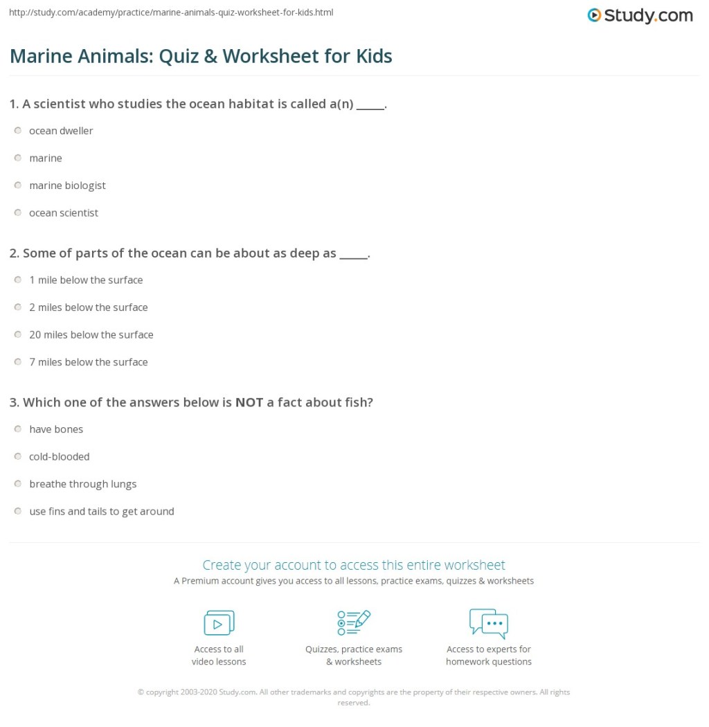 Picture of: Marine Animals: Quiz & Worksheet for Kids  Study