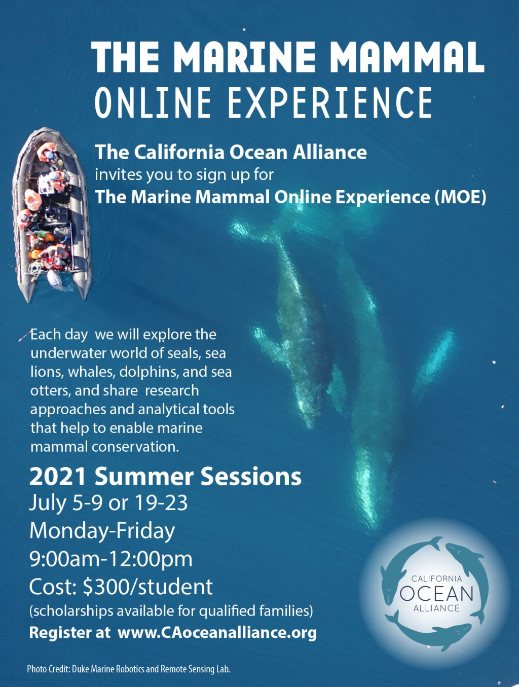 Picture of: Now Accepting Applications for the  Marine Mammal Online