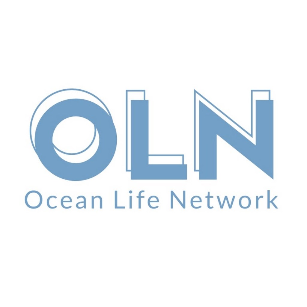 Picture of: Ocean Life Network – YouTube