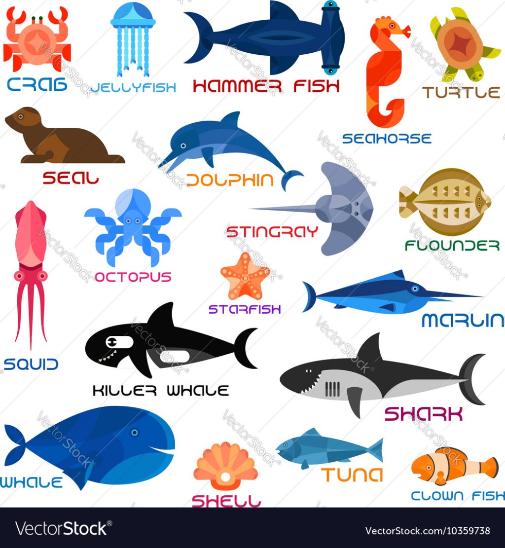 Picture of: Oceanarium ocean animals and fishes with names Vector Image