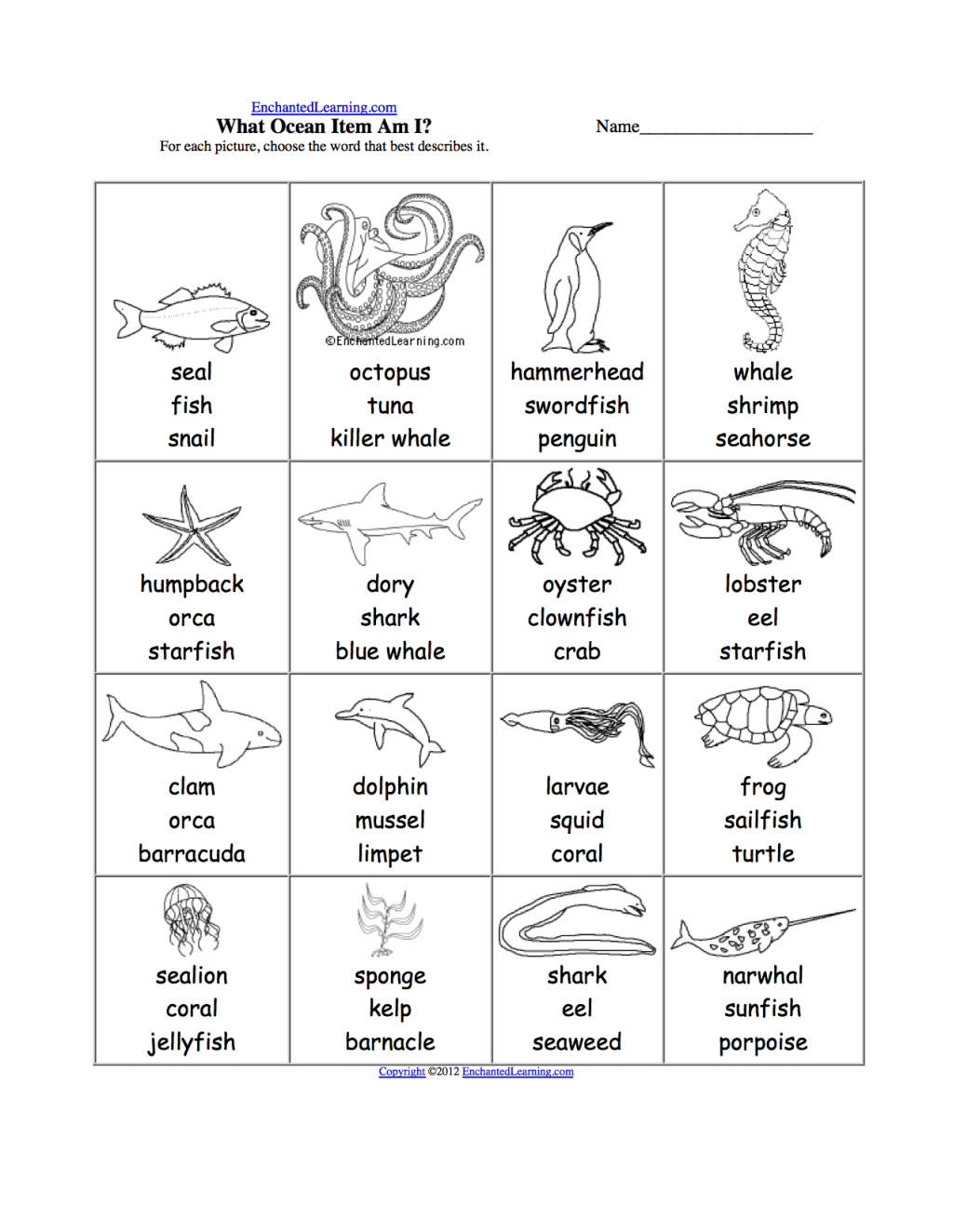 Picture of: Oceans and Seas – Spelling and WRiting Worksheets