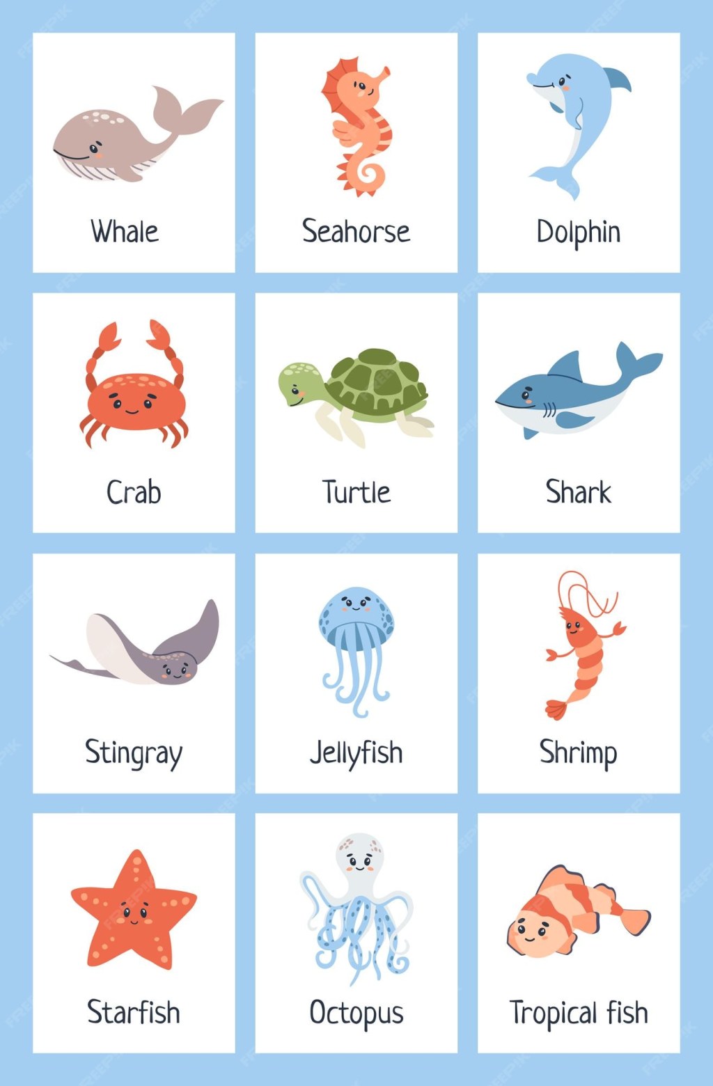 Picture of: Premium Vector  Sea animal flashcards learning ocean vocabulary