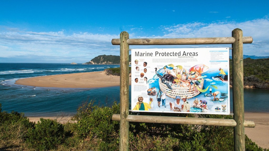 Picture of: Protecting the ocean — Marine Protected Areas South Africa