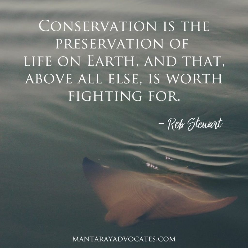 Picture of: Quotes about Saving the Oceans – Manta Ray Advocates Hawaii