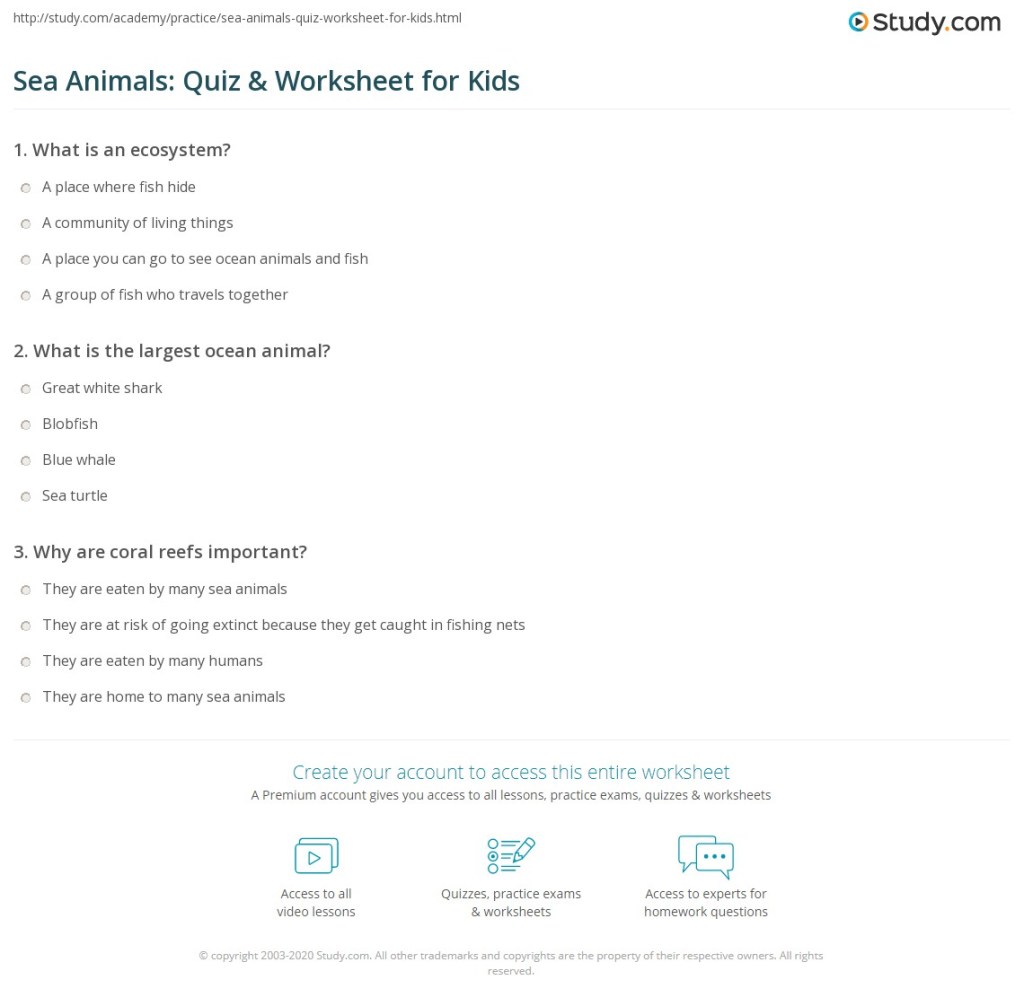 Picture of: Sea Animals: Quiz & Worksheet for Kids  Study