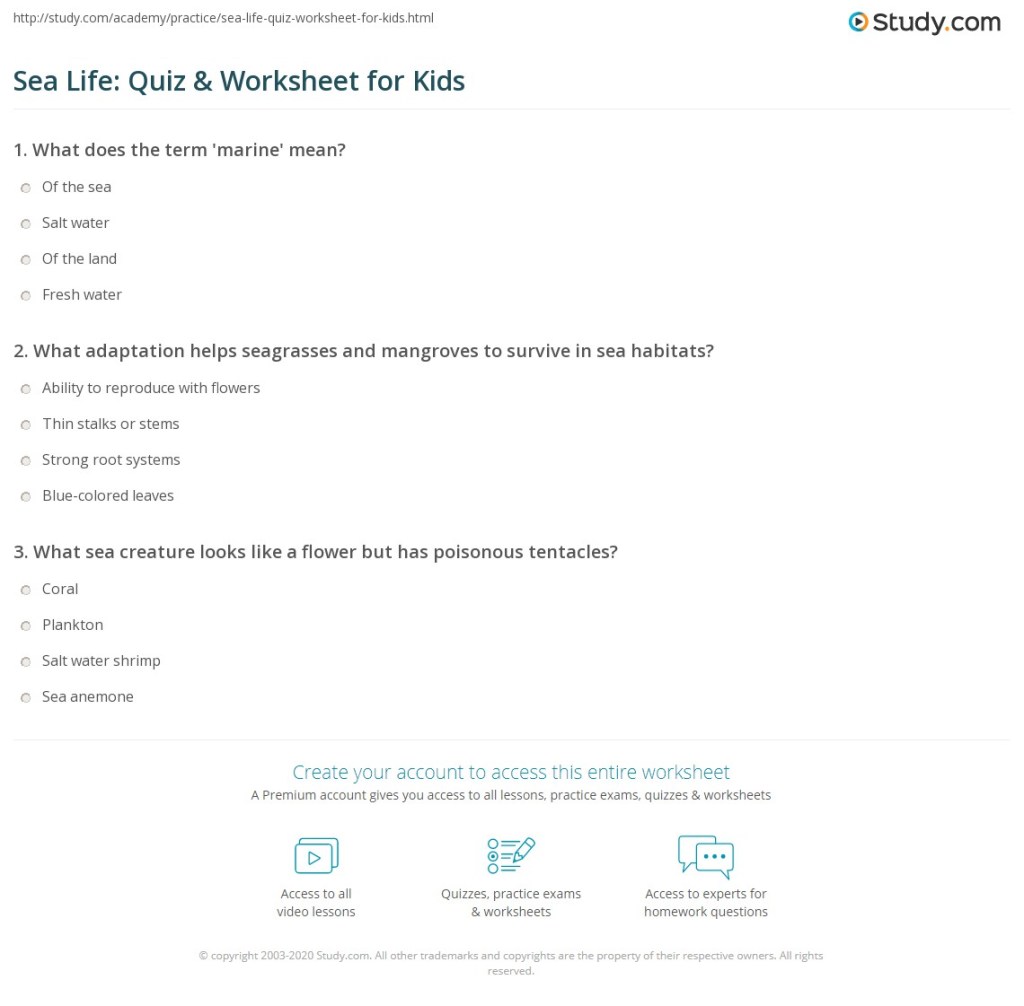 Picture of: Sea Life: Quiz & Worksheet for Kids  Study