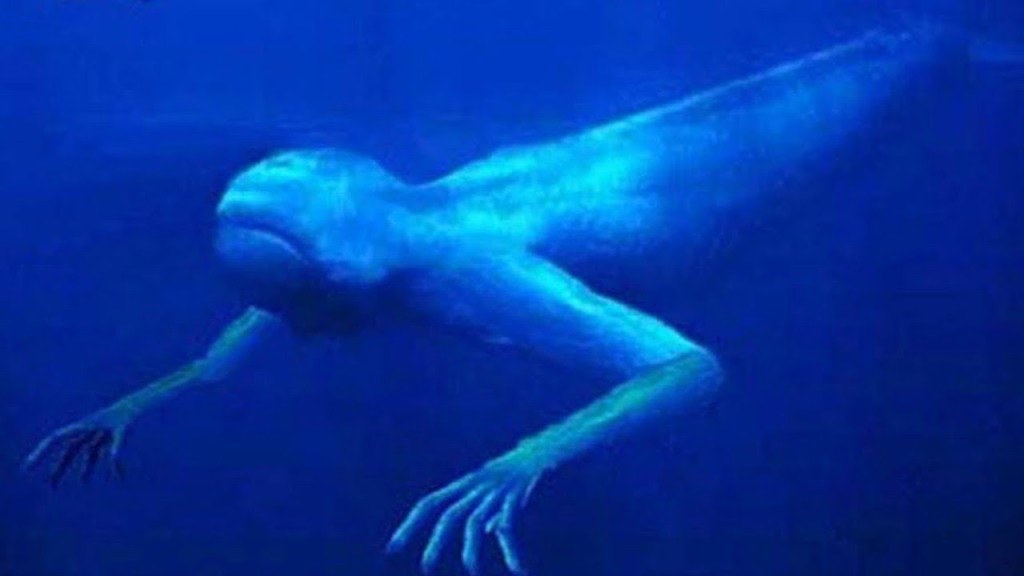 Picture of: Strange Never Before Seen Sea Creatures  The Strangest caught on tape
