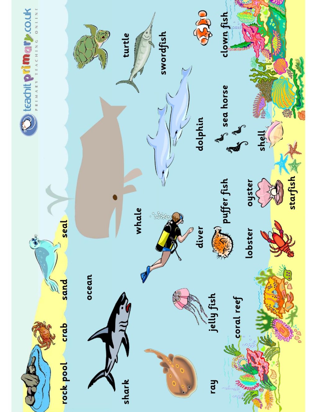 Picture of: The sea – word mat  KS-KS  Living things and their habitats